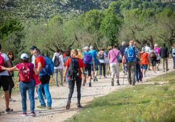 Charity Walk - Caminata Benéfica organizado por Rotary Club Calvià International en S'Arracó