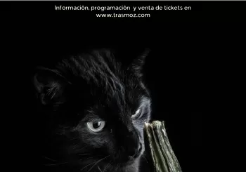LUZ DE LAS ÁNIMAS en Trasmoz
