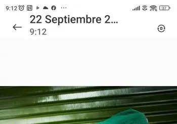 Mseco en Madrid