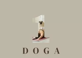 5 week unique Dog Yoga Course en New York