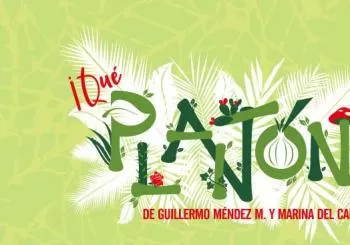 ¡Que Plantón! en Acapulco