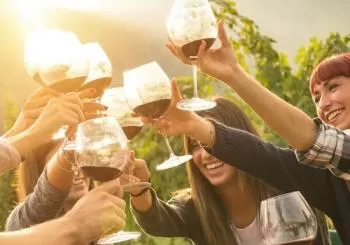 Yarra Valley: Winery Tour with Lunch + Transport from Melbourne