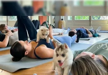 PUPPY YOGA IN CENTRAL LONDON