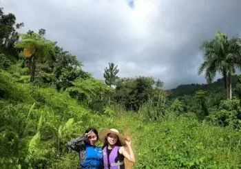 Tour Bosque Nacional El Yunque en San Juan