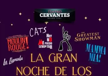LA GRAN NOCHE DE LOS MUSICALES en ALMERIA