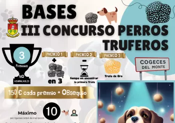 Concurso Perros Truferos. 3 de Diciembre 2023 (12:30 hs.) en Cogeces del Monte