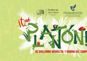 Qué Plantón! El concierto (VIP) en Ciudad de México