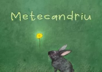 Metecandriu en Zaragoza