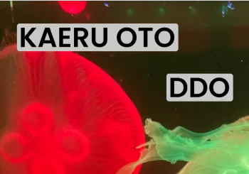 KAERU OTO + DDO en LAS PALMAS DE GRAN CANARIA