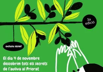 Anem a fer l'auliva en Priorat