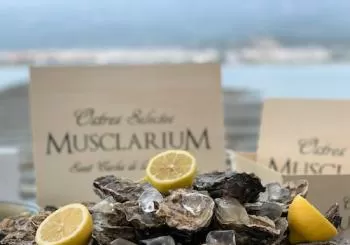 Musclarium: Ruta de las mejilloneras en Tarragona