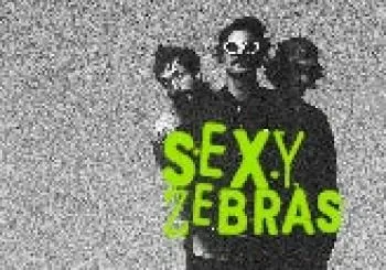Sexy Zebras en Mexico
