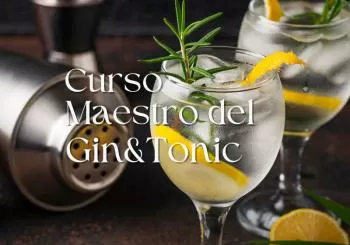 Curso maestro del gin-tonic en la Escuela de Coctelería en Madrid