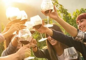 Yarra Valley: Winery Tour with Lunch + Transport from Melbourne