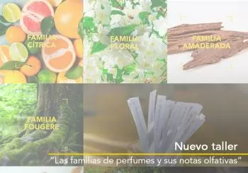 Taller presencial de 