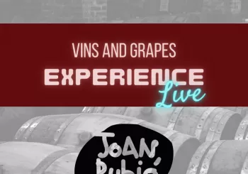 Vins and Grapes Experience: Tiques Joan Rubió en Santa Margalida i els Monjos