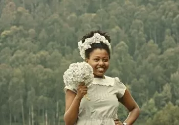 Novos Cinemas 2023 - OFICIAL - THE BRIDE en Pontevedra
