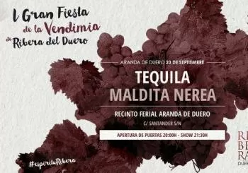 Gran Fiesta De La Música en Metepec