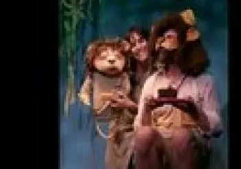 El ciclo de la vida (Yo soy el rey león) + Pinta caras en Valencia