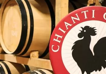 Regione del Chianti: Gita di un giorno da Firenze + Tour dei vigneti en Florence
