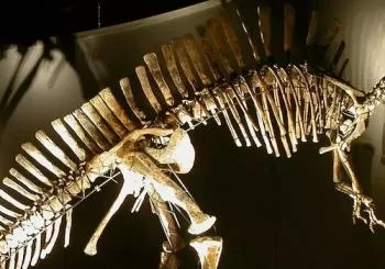 Museo di Storia Naturale di Venezia Venice