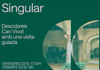 Visita guiada a Can Vivot · Singular a Palma