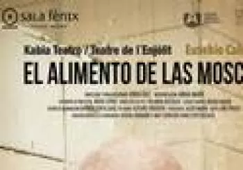 El alimento de las moscas en Barcelona
