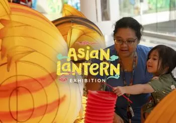 Asian Lantern Exhibition at American Dream en New York