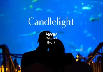 Candlelight: Valentine's Day Special at the Aquarium en Plymouth