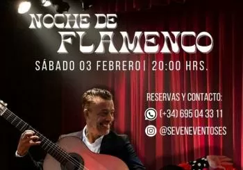 Noche de flamenco en Madrid 