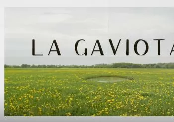 La Gaviota en México