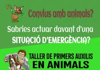 TALLER DE PRIMERS AUXILIS EN ANIMALS DE COMPANYIA en Muro d'Alcoi