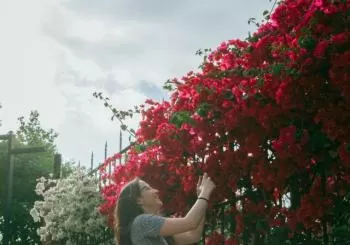 Brunch Musical - Señorita Colibrí/Lanzamiento de Disco en Barcelona