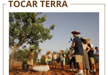 Visita guiada a Es Garrover de Mallorca en Llucmajor