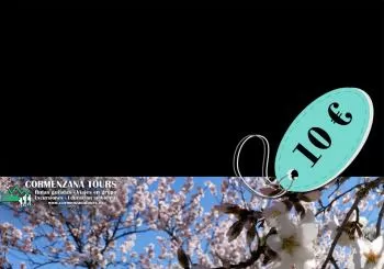 QUINTA DE LOS MOLINOS: Floración del almendro y Parque histórico: Ruta guiada en Madrid