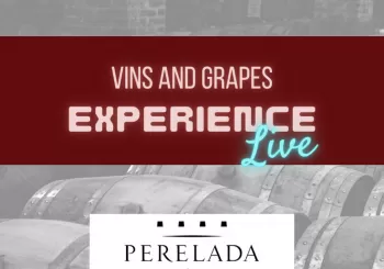 Vins and Grapes Experience: Perelada en Santa Margalida i els Monjos