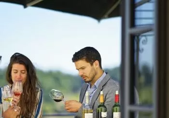 Visite du Château La Croizille : visite guidée et dégustation de vin Bordeaux