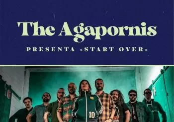 The Agarpornis en La guarida del ángel. Jerez en Jerez de la Frontera