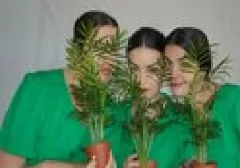 Ninguna planta es de interior en Madrid