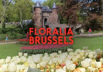 Floralia Brussels, La 21ème édition de l’exposition florale de printemps