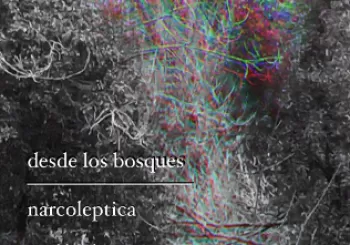 NARCOLEPTICA + DESDE LOS BOSQUES en Madrid