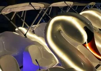 Long Beach Swan Boat Rental at Rainbow Lagoon en Los Angeles