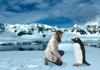 La pingüina viatgera en Sant Llorenç des Cardassar