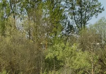 A pedales entre la Ribera del Zadorra y los Humedales de Salburua en Vitoria-Gasteiz