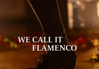 We call It Flamenco: uno spettacolo unico di danza spagnola en Turin