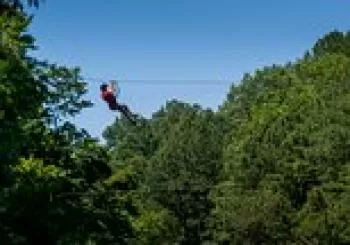 Ziplining and Climbing at The Adventure Park at Virginia Aquarium Virginia Beach