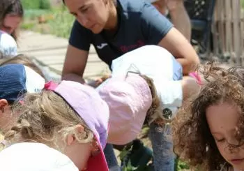 MENUDETS A L´HORTA (ACTIVIDAD CUINA OBERTA) en Valencia