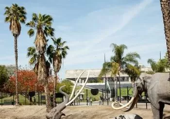 La Brea Tar Pits and Museum Admission Ticket with Excavator Tour en Los Angeles