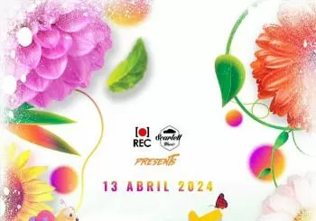 SPRING FEST en 1Muro