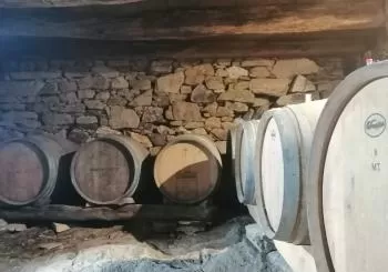 PORTOMARIN BEERFEST: Cata Cervezas Fermentación Mixta